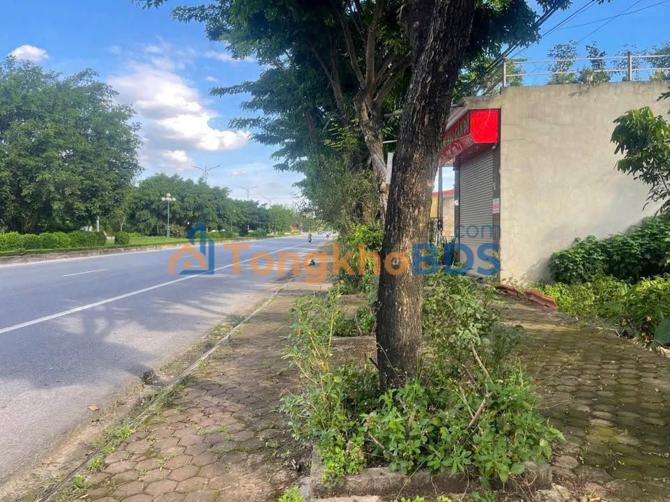 Đất Vàng QL 1A Nam Định 80m² - Kinh Doanh Đắc Lợi, Giá 6 Tỷ