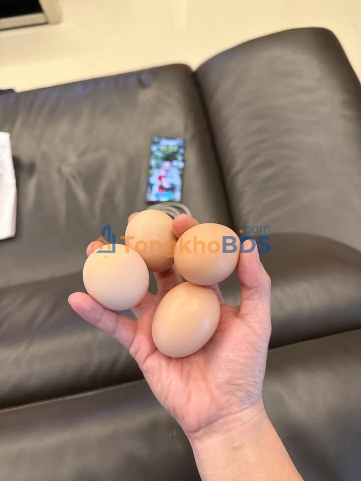 Mặt phố Hoàng Ngân, TP Thái Nguyên - 153m² kinh doanh đỉnh, mặt tiền 8m hiếm có