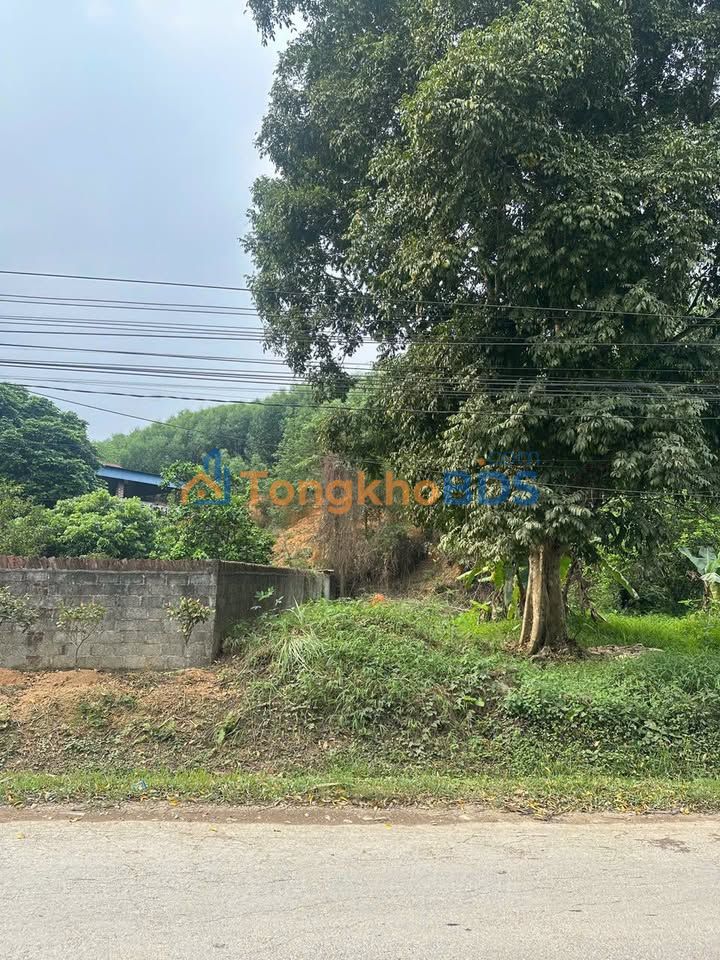 Bán Đất Trục Chính Khe Mo, Phổ Yên 100m² - Kinh Doanh Đắc Lộc