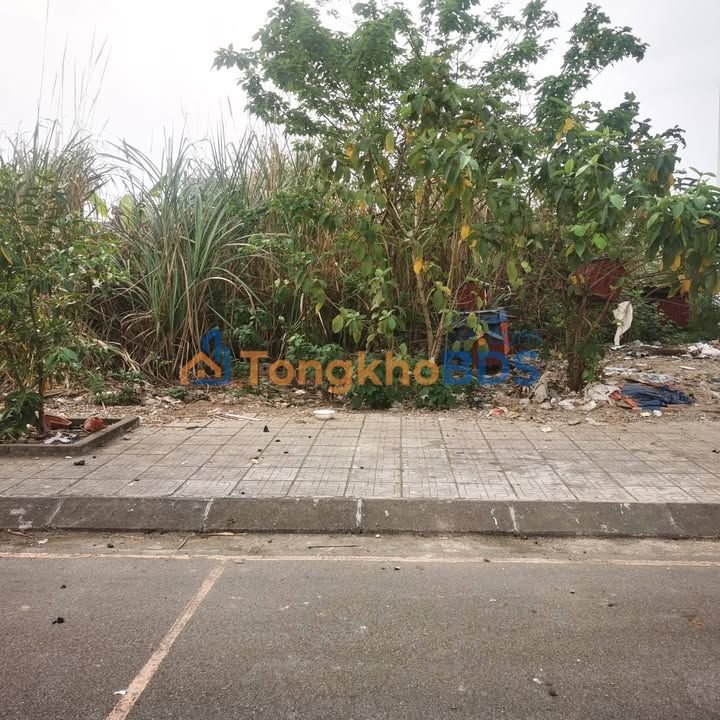 Đất nền Phú Lương 119m² mặt tiền 7m - Giá hơn 2 tỷ, KDC An Thái