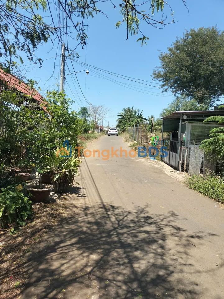 Đất Nền Bàu Bàng 370m² - Mặt Tiền Đường Nhựa Giá 1.5 Tỷ