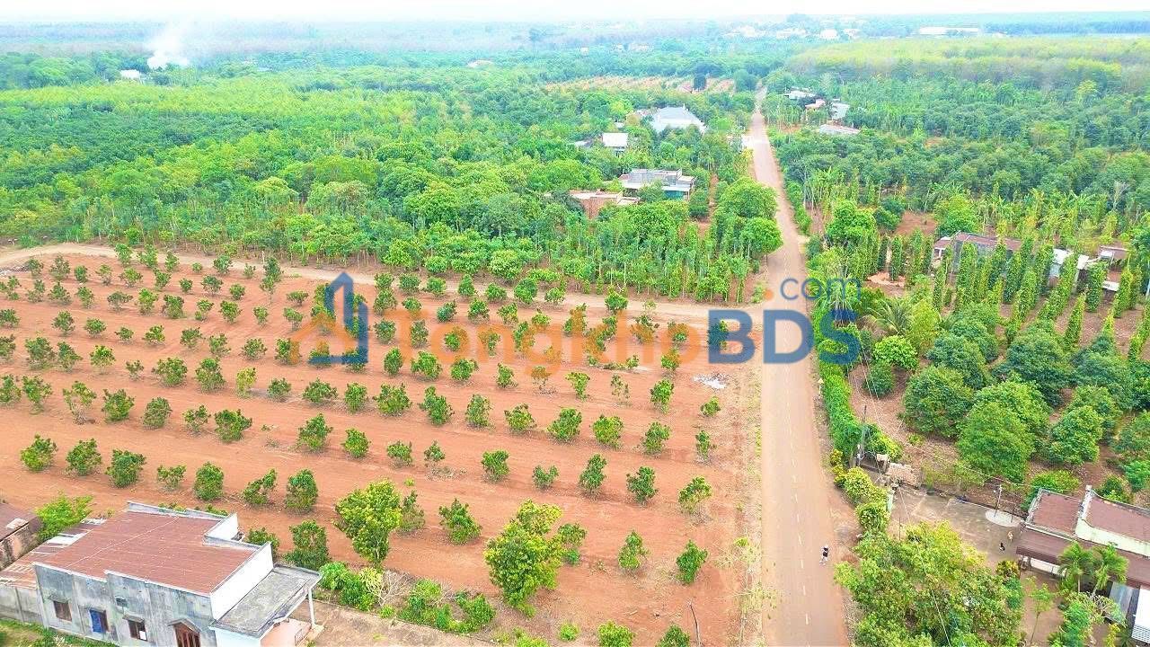 Đất nền Tân Lâm Xuyên Mộc 1000m² 1.4 tỷ - Sổ đỏ