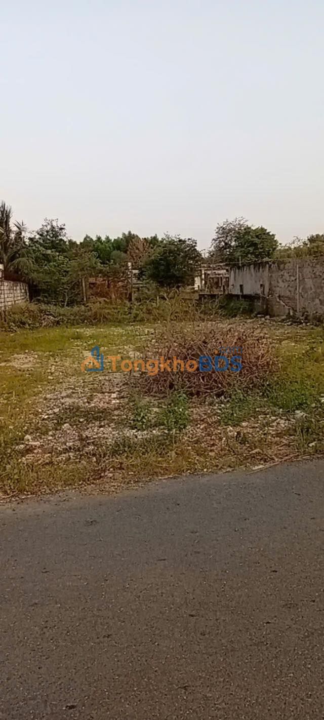 Đất Nền Châu Pha Phú Mỹ 516m² - Sổ Hồng Thổ Cư, Xe 52 Chỗ