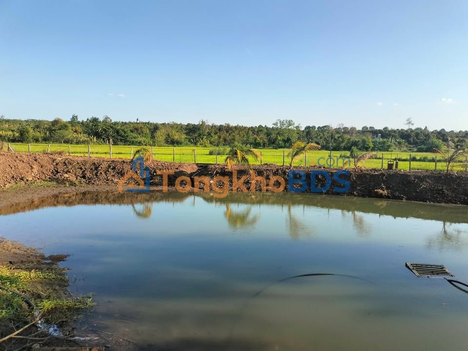 Đất Nền Cư M'gar - 1908m² Vừa Ở, Vừa Kinh Doanh, Vừa Đầu Tư - Sổ Đỏ Chính Chủ