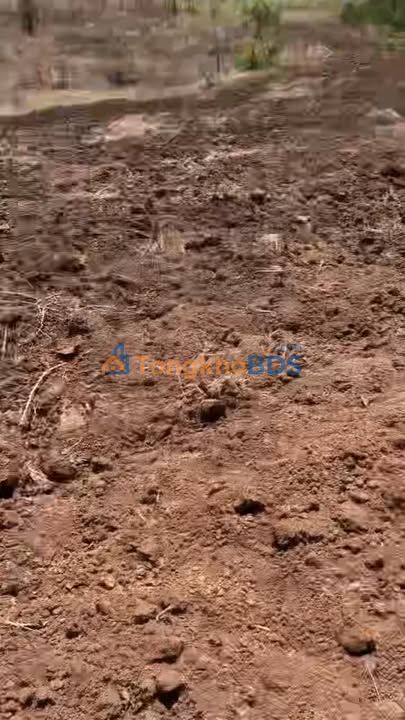 Đất Vườn Đắk Lắk 14.000m² - Giá Đầu Tư 14 Tỷ Tại Ea M'Dróh