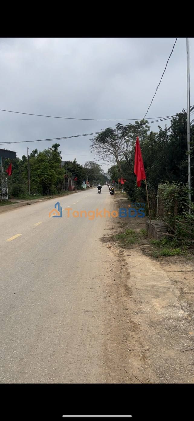 Bán đất mặt Tỉnh lộ 514 Triệu Sơn 300m² - Giá tốt đầu tư