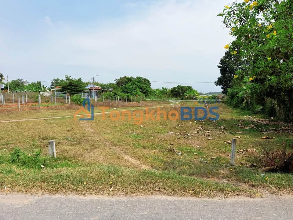 Đất thổ cư 124m² mặt tiền đường nhựa Phước Hiệp, Củ Chi - Chỉ 750 triệu