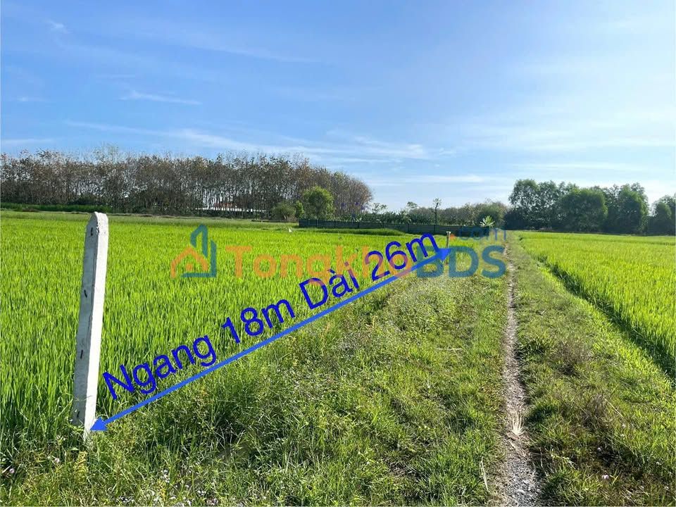 Đất Củ Chi 468m² Giá 650 Triệu - Bán Gấp Chốt Lời