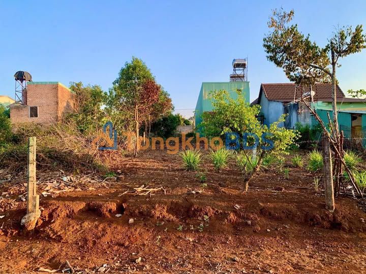 Đất Nền Đồi Thông Gia Lai - 122m² Sổ Đỏ, Giá 5xx Triệu