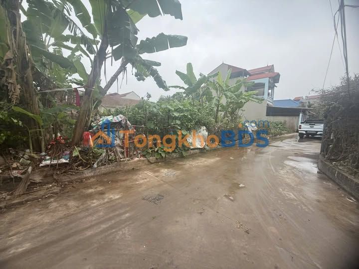 Đất nền Thường Tín 54m² - Gần Vin Olympics, Đường ô tô tải, Giá tốt