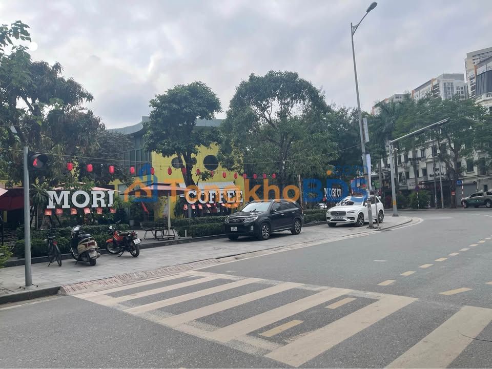 Nhà Phố Kinh Doanh Văn Phú Hà Đông 55m² 7 Tầng - Vỉa Hè Rộng, Kinh Doanh Sầm Uất