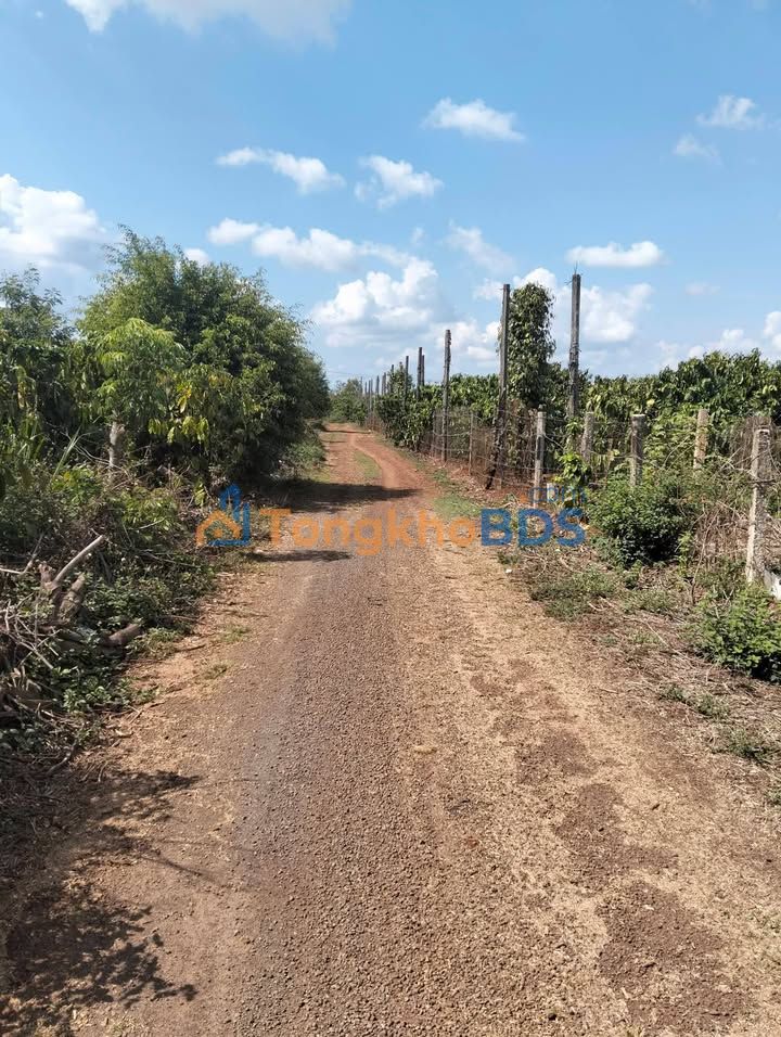 Đất Nền Phường Hội Thương, Pleiku - 140m² Sổ Sẵn, Giá 300 Triệu