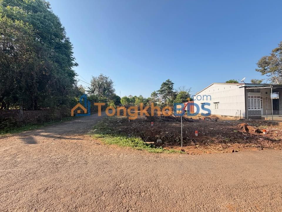 Đất nền Thống Nhất Pleiku 113m² 0,63 tỷ - Sổ đỏ chính chủ