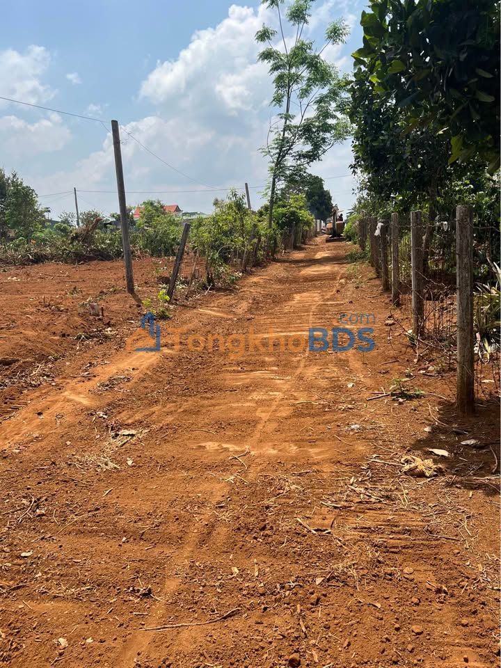 Đất thổ cư Làng Ó, Ia Sao - 125m² - Sổ đỏ sẵn, giá đầu tư chỉ 230 triệu