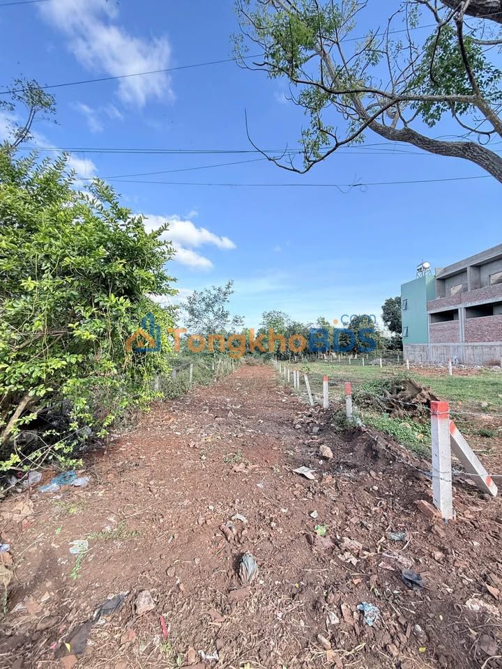 Đất Full Thổ Cư Hẻm Bùi Dự Pleiku 250m² - Giá 1.5 Tỷ Hướng Tây