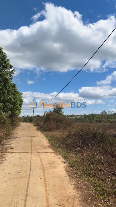 Đất Vườn Gia Lai 4350m² - Gần Suối, Sổ Đỏ Rõ Ràng