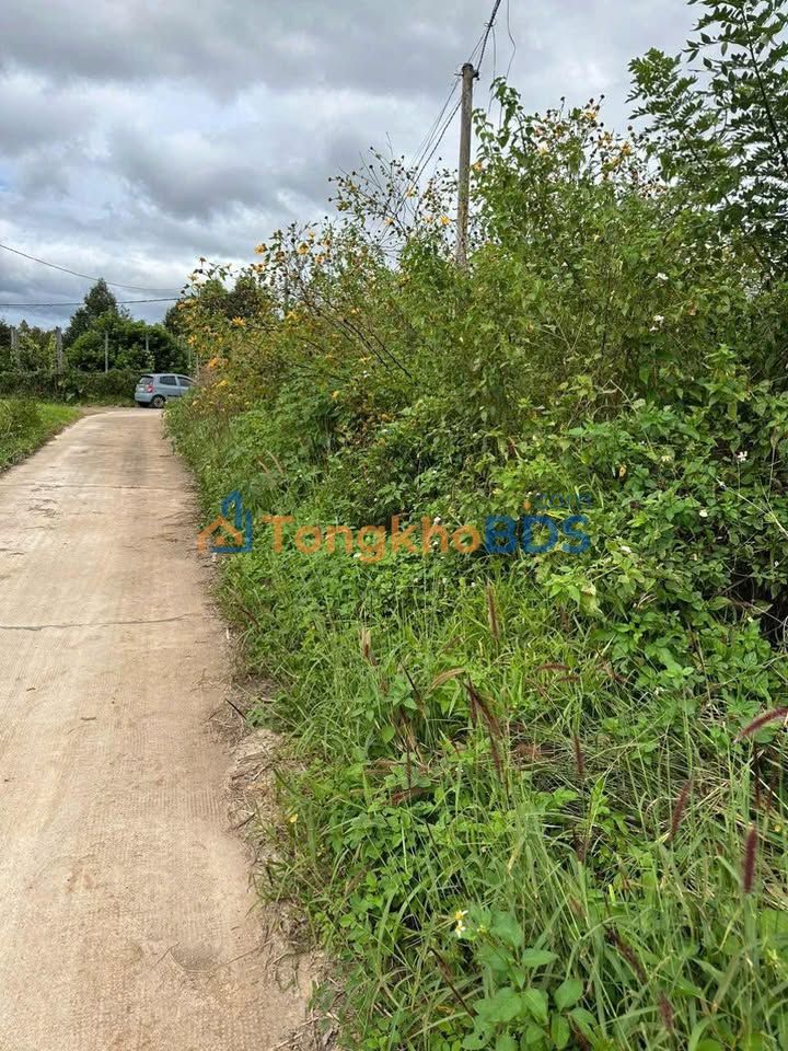 Đất nền Lam Sơn Pleiku 150m² giá 5xx - Đường to ô tô