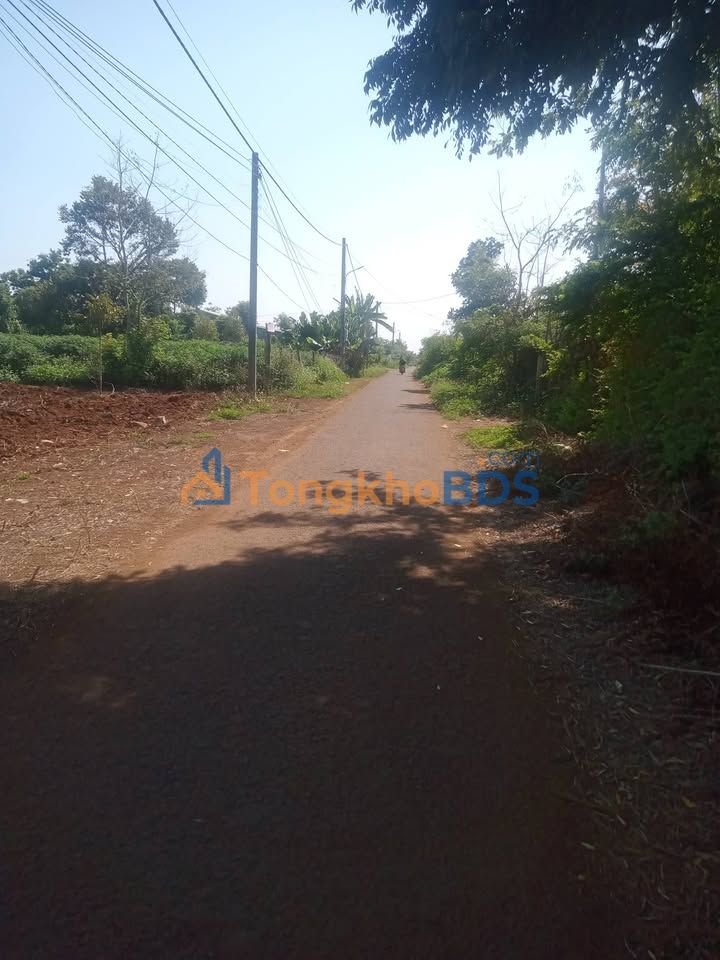 Đất nền Pleiku 225m² - Hẻm Trương Định, Full Thổ Cư, Giá Từ 4xx Triệu