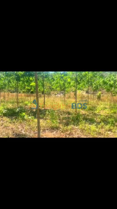 Bán Gấp Đất Rẫy 20.000m² Sổ Hồng Sẵn - Ia Khươl, Chư Păh, Gia Lai