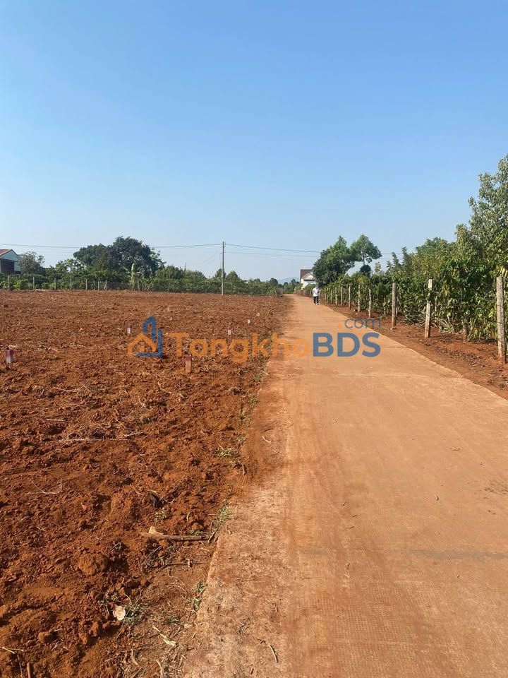 Đất Nền Lô Dút 1, Pleiku - 150m² Full Thổ Cư, Giá Chỉ 2xx Triệu