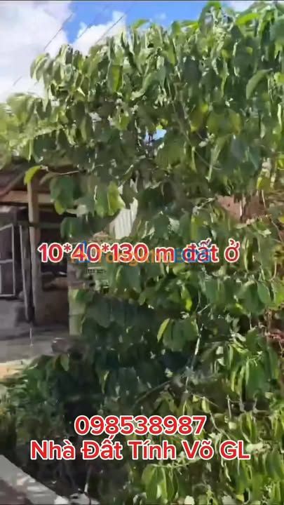 Đất Mặt Tiền QL 19 Gia Lai - 130m² Sổ Đỏ Giá Tốt 1 Tỷ