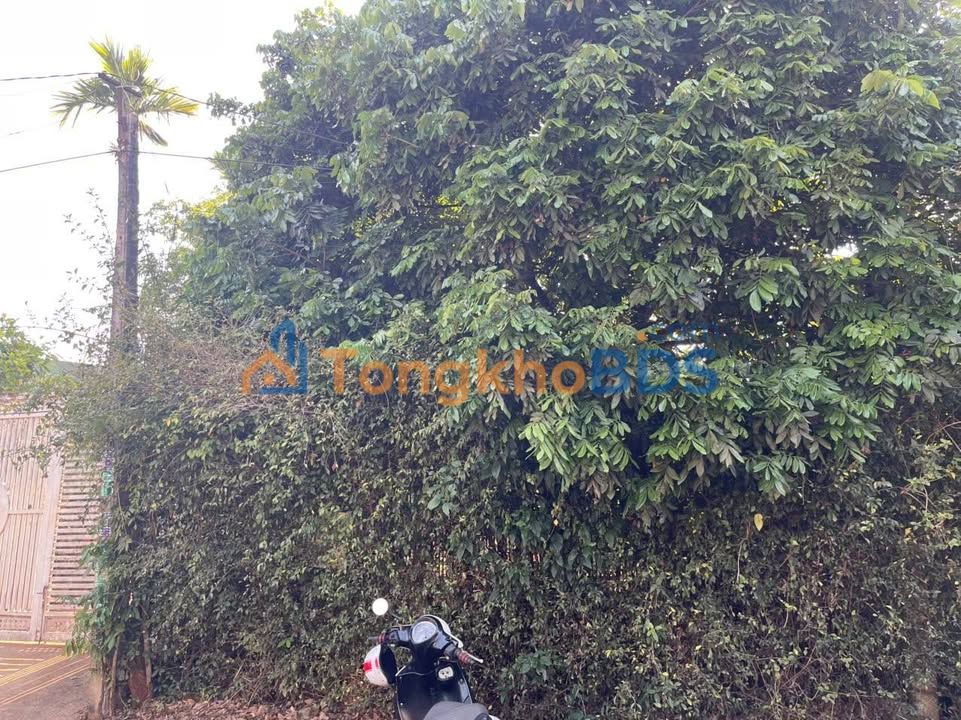 Đất Mặt Tiền An Dương Vương, Quận 3 - 225m² - 1.7 Tỷ