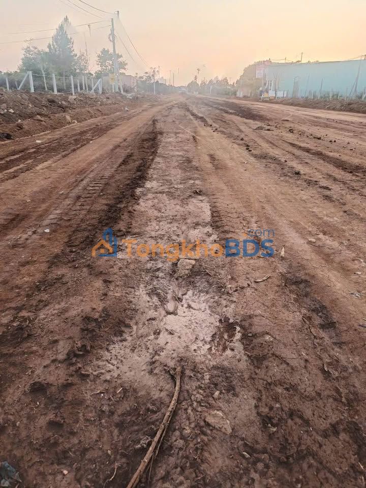 Bán Đất 310m² Mặt Tiền Đường Dương Minh Châu, Pleiku - Giá Đầu Tư 589 Triệu