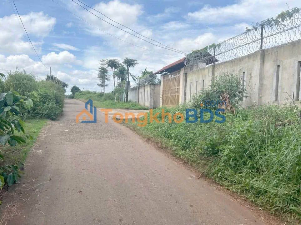 Bán Đất Phường Hoa Lư, Pleiku - 372m² Hướng Bắc, Gần Ngô Quyền