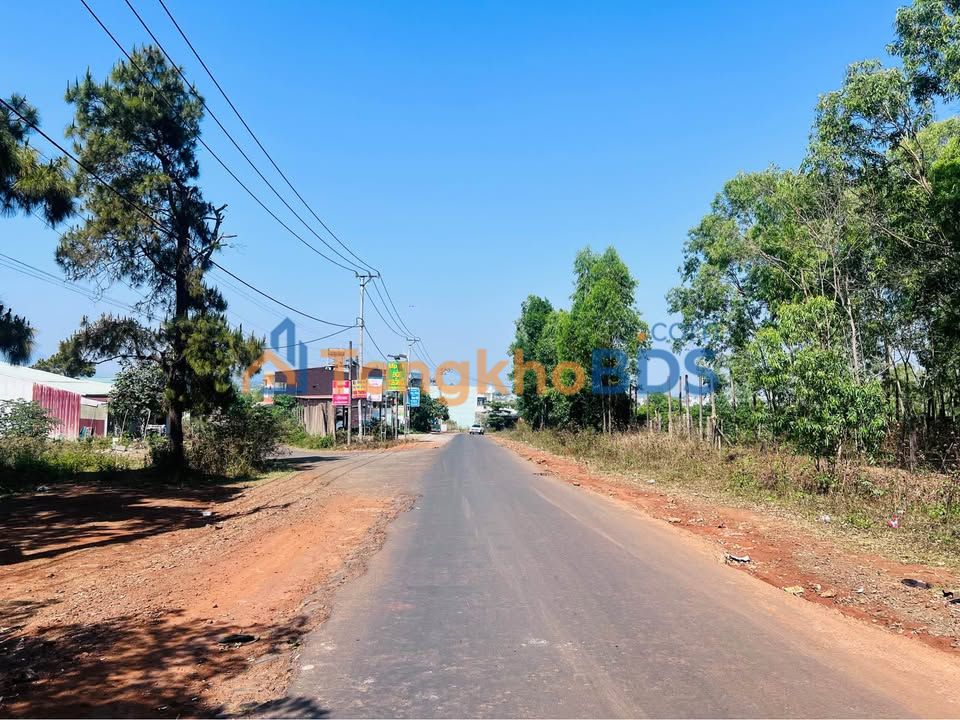 Đất Mặt Tiền Phan Đình Phùng, Pleiku - 250m², View Đồi Thông, Giá 4.4 Tỷ