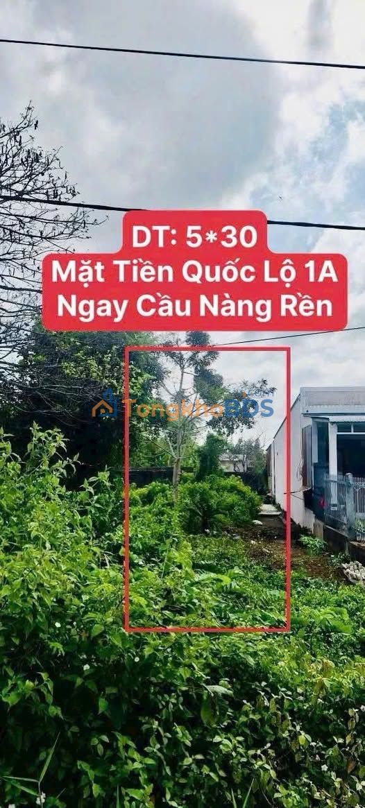 Đất nền Vĩnh Lợi QL1A 150m² 660 triệu - Đường ô tô