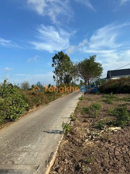 Đất nền Vĩnh Hậu A 1.220m² 900 triệu - Đường to ô tô