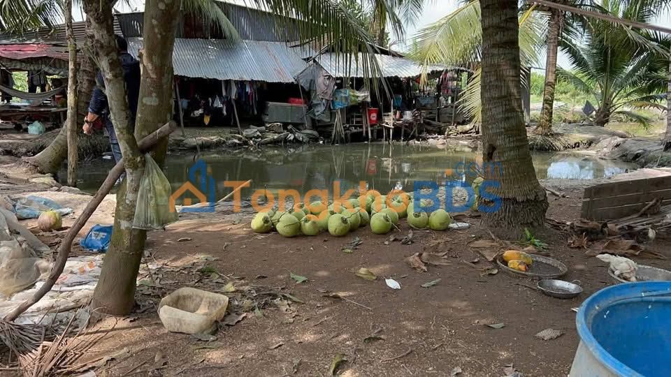 Đất vườn QL N1 Châu Đốc 1,3 công 850 triệu - Đường ô tô