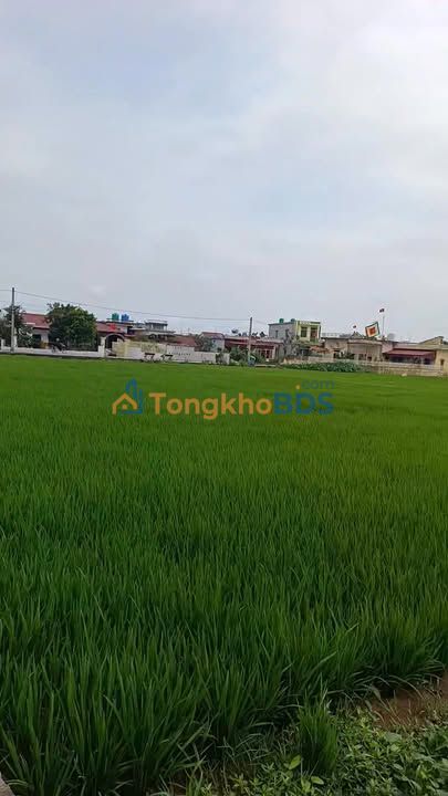 Đất nền Giao Bình Nam Định 424m² - Sổ đỏ chính chủ