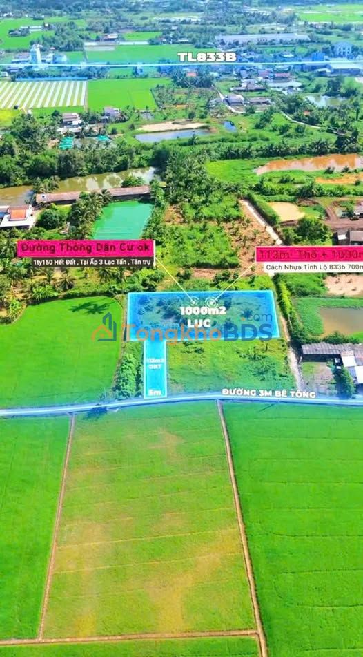 Bán Đất Vườn 1113m² Lạc Tấn, Tân Trụ, Long An - Giá 1.15 Tỷ