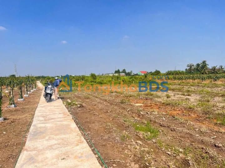 Đất Vườn Long An 680m² Giá Chỉ 249 Triệu - Cơ Hội Đầu Tư Sinh Lời