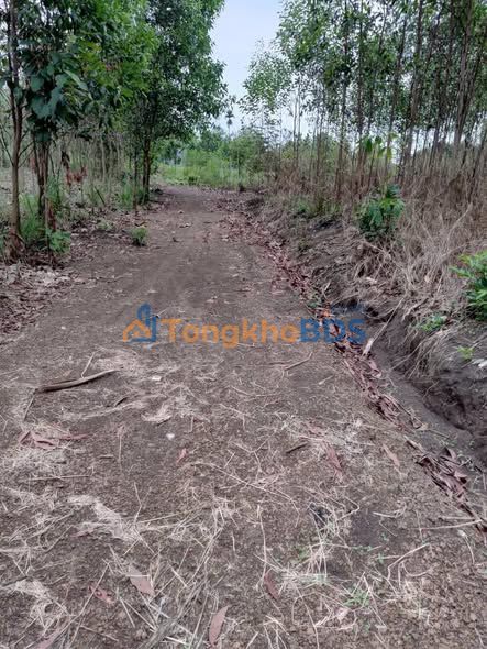 Đất nền Bình Phước 720m² - 399 triệu, Sổ đỏ sẵn sàng