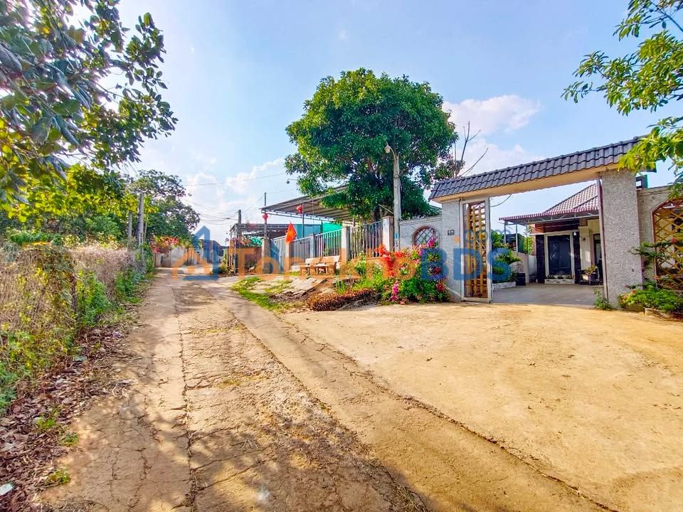 Bán Đất Vàng Phường B'lao, Bảo Lộc 175m² - Sổ Hồng Sẵn Sàng