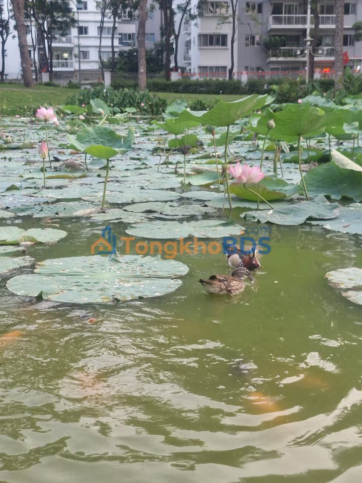 Căn hộ Emerald 53m² Full Nội Thất - Giá 12 Triệu/Tháng