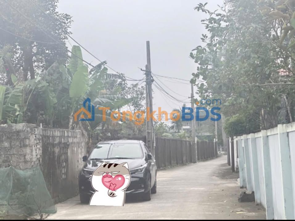 Bán đất Cầu Ngang, Trà Vinh 65m² - Ngay trung tâm, gần trường học