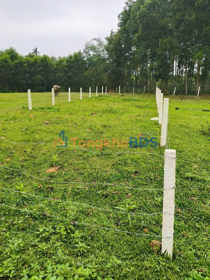 Đất nền Hương Bình Hương Khê 196m² - Đường ô tô 6m