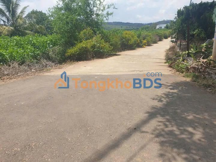 Bán Đất Thổ Cư 3600m² Đức Trọng - Sổ Đỏ Sẵn Sàng, Giá 2.4 Tỷ