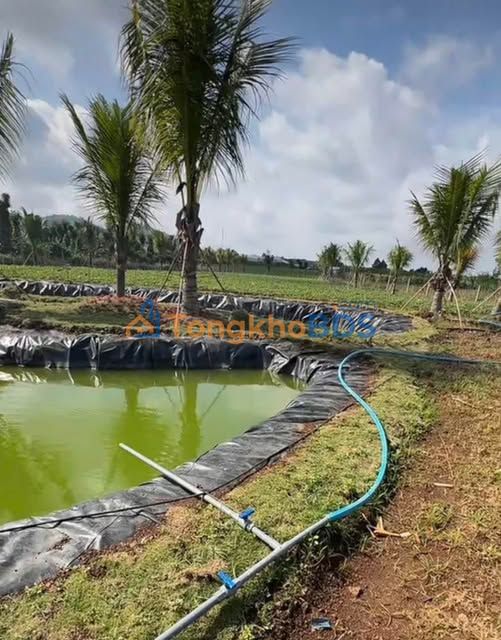 Bán Đất Nền Đức Trọng 4500m² Sổ Hồng Sẵn - Gần Sân Bay Liên Khương