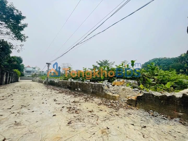 Đất Vườn Ba Vì 686m² Sổ Hồng Sẵn - Giá Đầu Tư Chỉ 203 Triệu