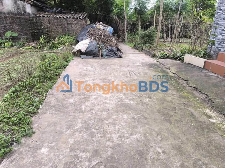 Đất nền Hưng Yên 56m² - F0 trung tâm, giá chỉ 1 tỷ 0xx