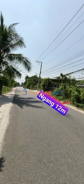 Bán Đất Vàng Tân Hiệp, Bình Dương 1995m² - Sổ Hồng Thổ Cư, Đường Nhựa Lớn