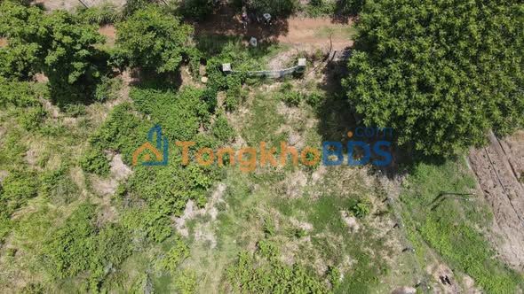 Bán Gấp Đất Rẫy Mặt Tiền Suối 22.297m² Tại Ninh Xuân, Ninh Hòa - Giá Đầu Tư 3.3 Tỷ