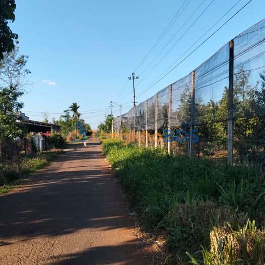 Bán đất 198m² mặt tiền đường nhựa tại Cư Kuin, Đắk Lắk - Giá 520 triệu