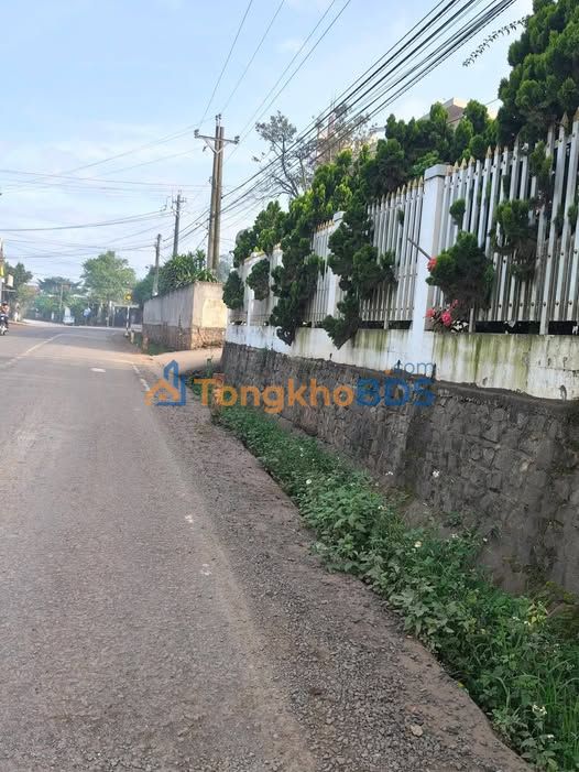 Bán Đất Mặt Tiền ĐH2 Lâm Hà 245m² - Kinh Doanh Sầm Uất, Sổ Hồng Riêng