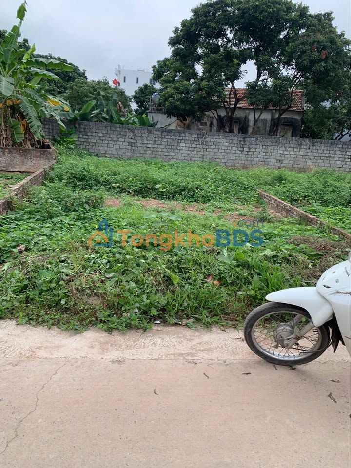 Bán đất Đại Tảo, Chương Mỹ 102m² - Sổ đỏ sẵn sàng, ô tô đỗ cửa