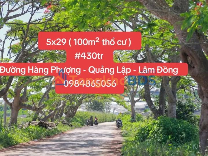 Đất Nền Lâm Đồng 175m² - 430 Triệu, Gần Chợ Quảng Lập